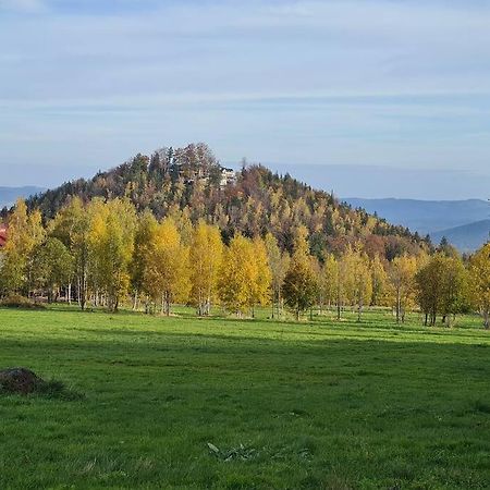 Rezydencja Green Hill - Ekskluzywny Dom W Karpaczu Exterior photo